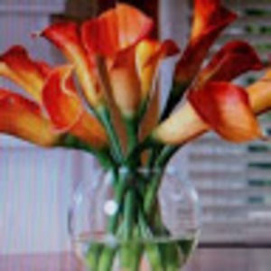 Meet your Posher, Nilda